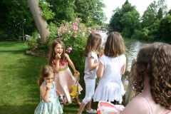 1_3-Feeding-the-swans-by-the-safety-fence-in-the-garden.