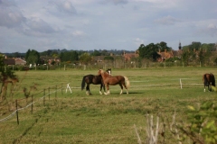 1_44-LArge-Horse-back-riding-5-minutes-walk-from-Pixie-Place