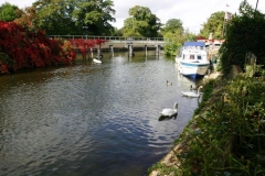 1_5-Large-Pixie-Place-in-Autumn