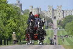 1_50-Large-carriage-horses