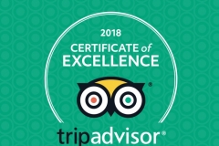 1_trip-cert-excell